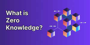 What Is Zero Knowledge